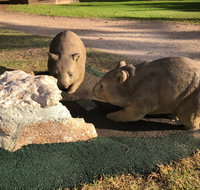 Wombat Statues Moonta - Surfers Gold Coast
