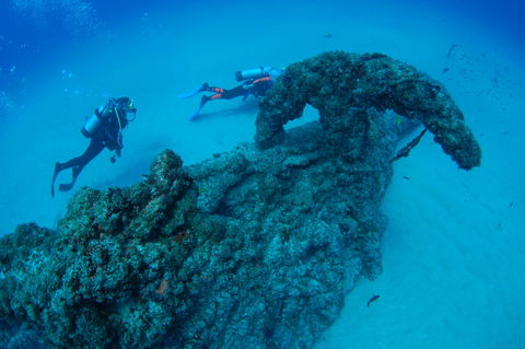 Aarhus Dive Site - Surfers Gold Coast 1