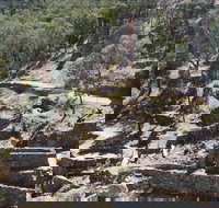 Adelong Falls Gold Mill Ruins - Surfers Gold Coast