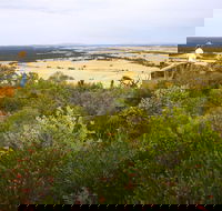 Archer Drive Scenic Drive and Lookout - Surfers Gold Coast