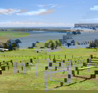 Ashby - Surfers Gold Coast