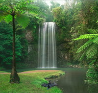 Atherton Tablelands - Surfers Gold Coast