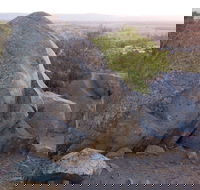 Bellevue Hill Reserve - Surfers Gold Coast