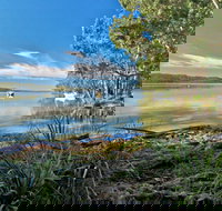 Black Oaks Picnic Area - Surfers Gold Coast