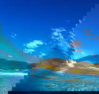 Blueys Beach Pacific Palms - Surfers Gold Coast