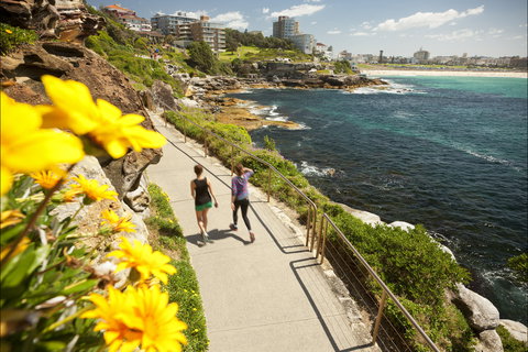 Bondi To Coogee Coastal Walk - Surfers Gold Coast 2