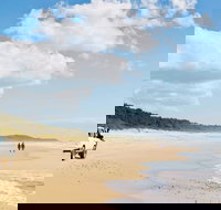 Bongil Bongil National Park - Surfers Gold Coast