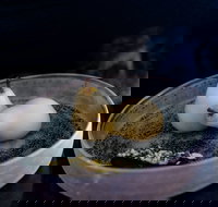 Bronwyn Clarke Ceramics - Surfers Gold Coast