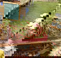 Burnie Farmers Market - Surfers Gold Coast