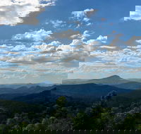 Collombatti - Surfers Gold Coast