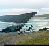 Connors Walking Track - Surfers Gold Coast