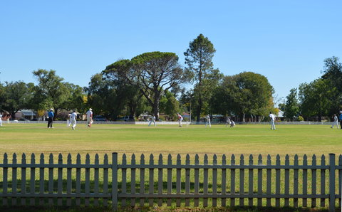Cootamundra Cricketing Exploration - Surfers Gold Coast 0