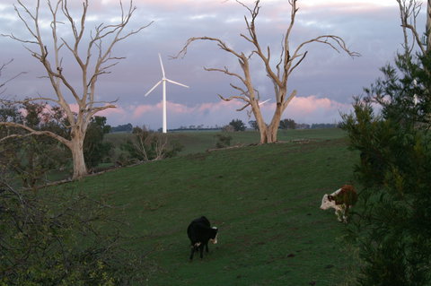 Crookwell Wind Farm - Surfers Gold Coast 1