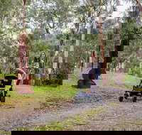 Currawong Bush Park - Surfers Gold Coast