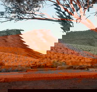 Dutchman Stern Conservation Park Trail - Surfers Gold Coast