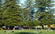 Esplanade Reserve - thumb 0