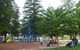 Esplanade Reserve - thumb 1