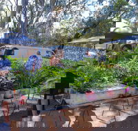 Fernvale Country Markets - Surfers Gold Coast