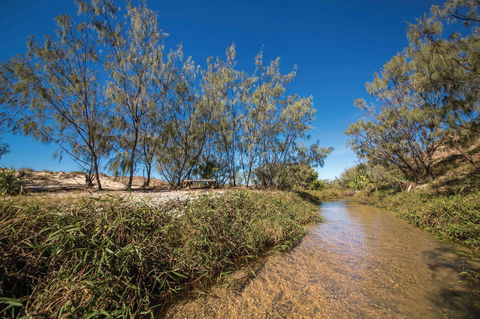 Freshwater Creek Track, Byfield National Park - Surfers Gold Coast 0