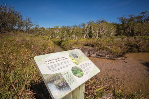 Freshwater Creek Track, Byfield National Park - Surfers Gold Coast 1