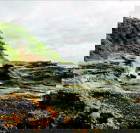 Glenrock State Conservation Area - Surfers Gold Coast