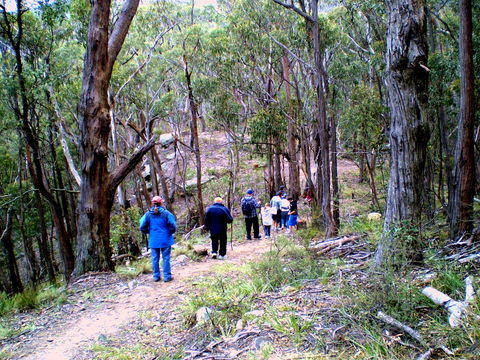 Greater Blue Mountains Heritage Trail - Surfers Gold Coast 2