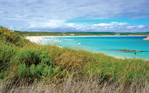Great Ocean Drive - Surfers Gold Coast 2