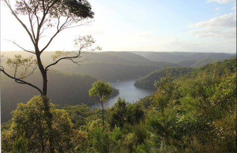 Great North Walk - Berowra Valley National Park - Surfers Gold Coast 0