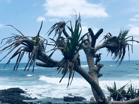 Hastings Point Beach - Surfers Gold Coast 0