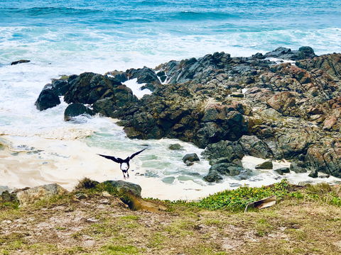 Hastings Point Beach - Surfers Gold Coast 2