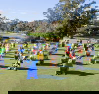 Hello Koalas Sculpture Trail - Surfers Gold Coast