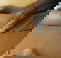 Hermannsburg Potters - Surfers Gold Coast