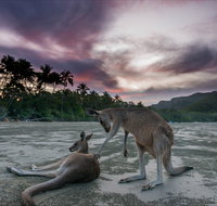 How to Holiday on The Hibiscus Coast with your Family - Surfers Gold Coast