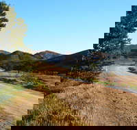 Johnburgh Loop Tour - Surfers Gold Coast