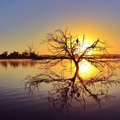 Lake Dyer - Surfers Gold Coast 0
