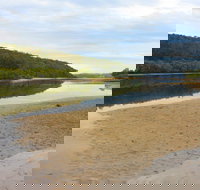 Mangrove Walk - Surfers Gold Coast