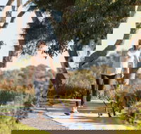 Meningie Walking and Cycling Trails - Surfers Gold Coast