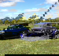 Moree Motor Enthusiasts - Surfers Gold Coast