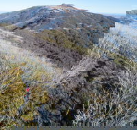 Mt Buller Bike Park - Surfers Gold Coast