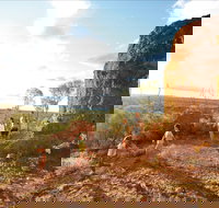 Natural Sciences Loop - Surfers Gold Coast