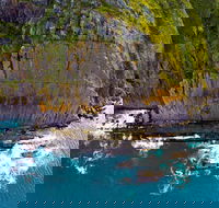 Newland Head Conservation Park - Surfers Gold Coast