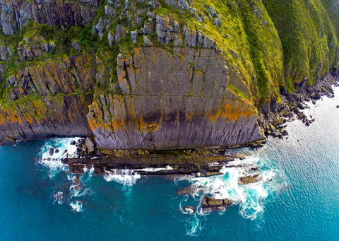 Newland Head Conservation Park - Surfers Gold Coast 0