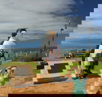 Penguin - Surfers Gold Coast