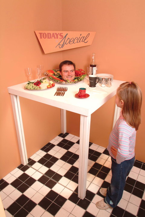 Phillip Island Experience - Surfers Gold Coast 0