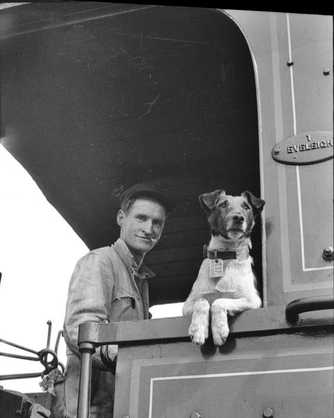 Railway Temora - Surfers Gold Coast 0