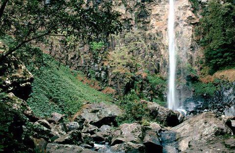 Rawson Falls Walk - Surfers Gold Coast 0