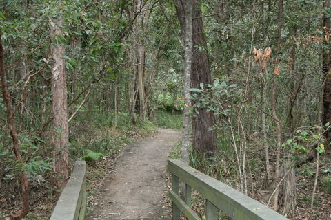 Springwood Conservation Park - Surfers Gold Coast 0