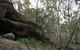 Springwood Conservation Park - thumb 2