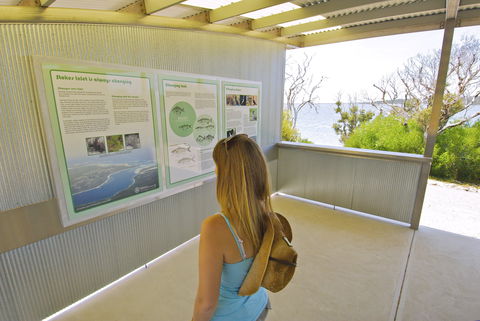 Stokes National Park - Surfers Gold Coast 1