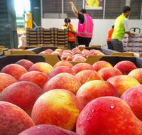 Sydney Produce Market - Surfers Gold Coast